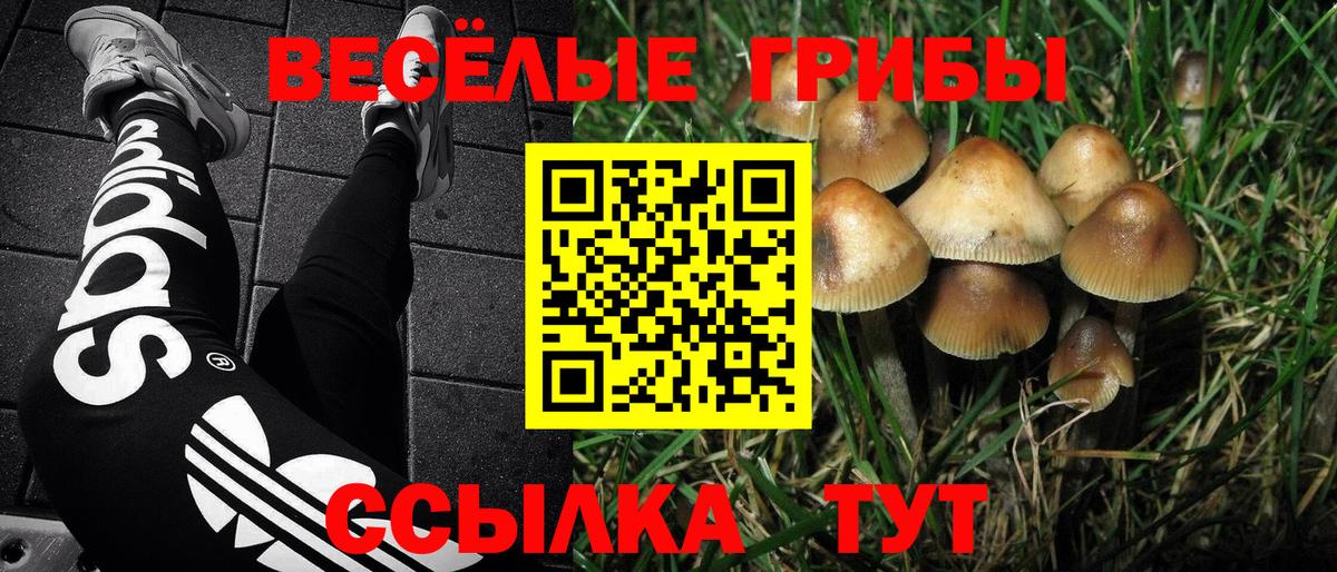 Псилоцибиновые грибы Magic Shrooms  Вход с VPN  Славгород 
