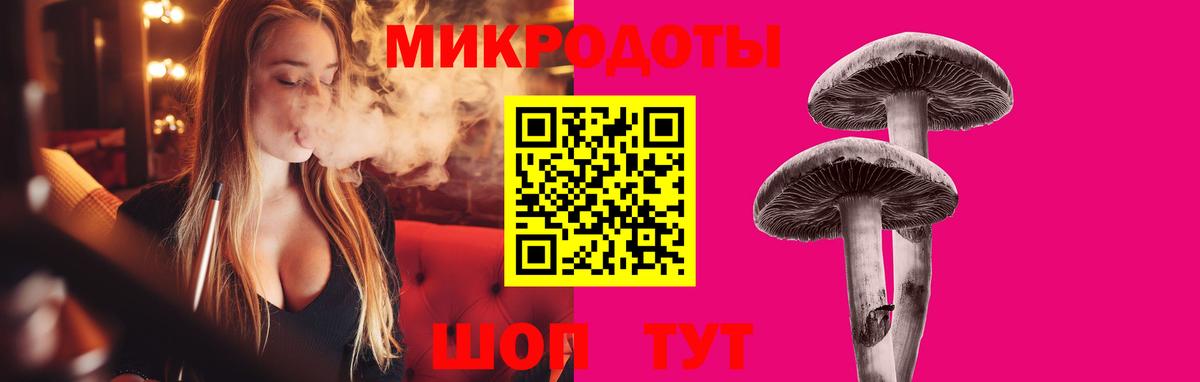 Галлюциногенные грибы Psilocybe Славгород